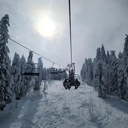 Kopaonik Milmari & Spa N Lux 90 Exterior foto